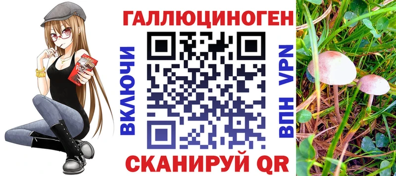 Псилоцибиновые грибы MAGIC MUSHROOMS  Пущино 